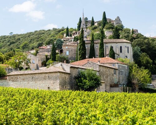 La Roque Sur Cèze Vines