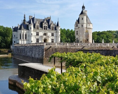 Château Chenonceau Vines